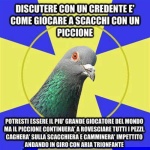 piccione_vs_credenti.jpg